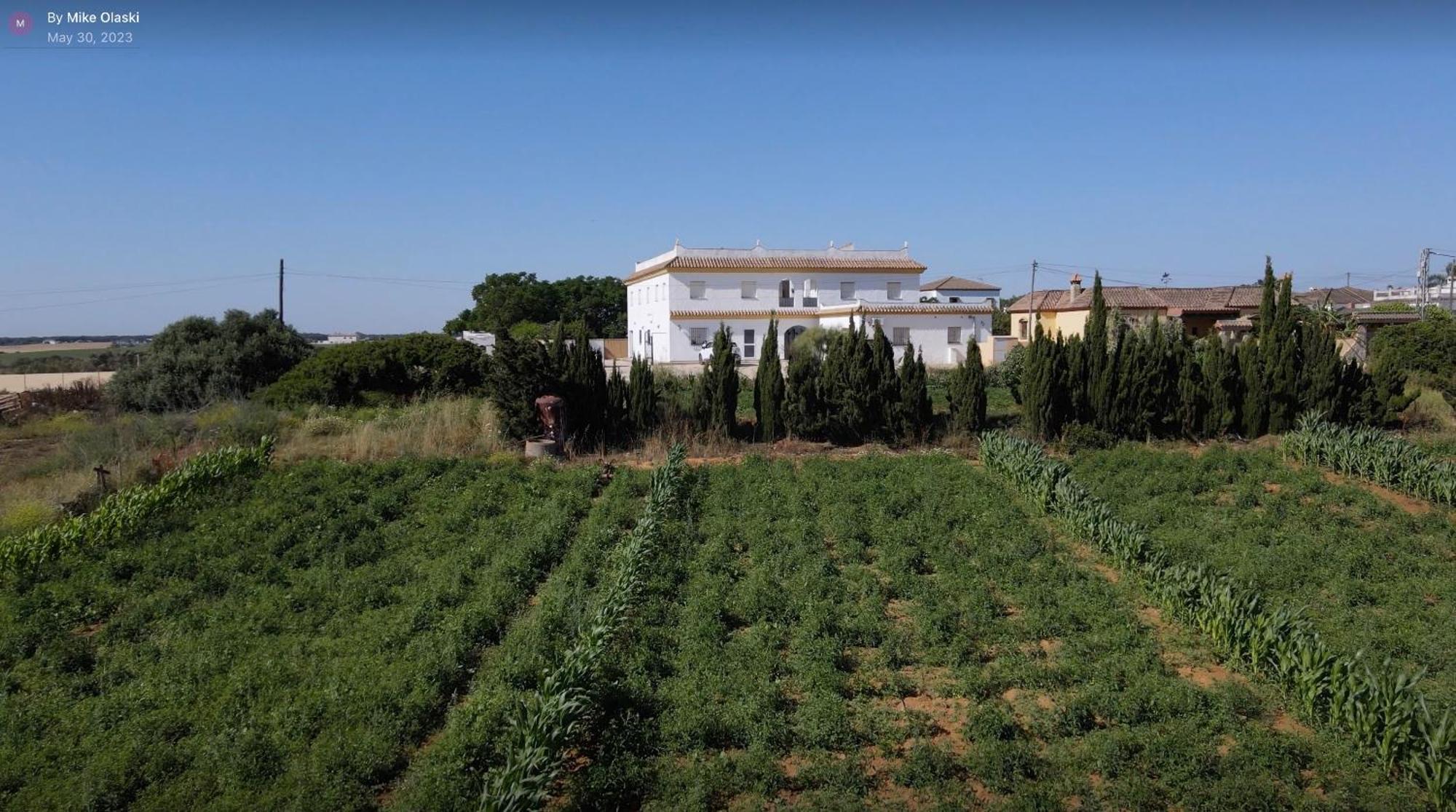 Alojamiento Rural Al'Mare Conil De La Frontera Bagian luar foto